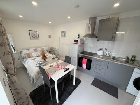 Bed, Kitchen or kitchenette, Photo of the whole room, Dining area, Bedroom, oven, stove