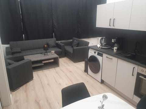 Kitchen or kitchenette, Living room, Seating area, dishwasher, oven, washing machine