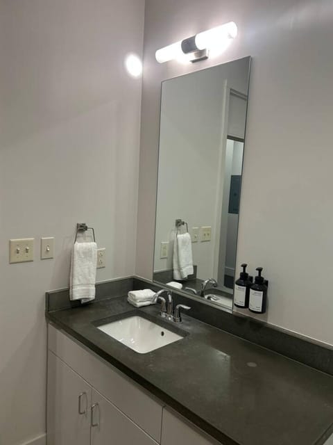 Ther Gregory Suite 101 ADA Hotel in French Quarter