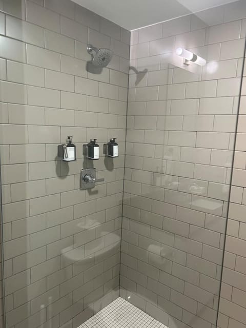 Ther Gregory Suite 101 ADA Hotel in French Quarter