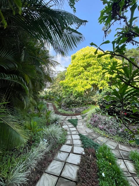 Natural landscape, Garden view