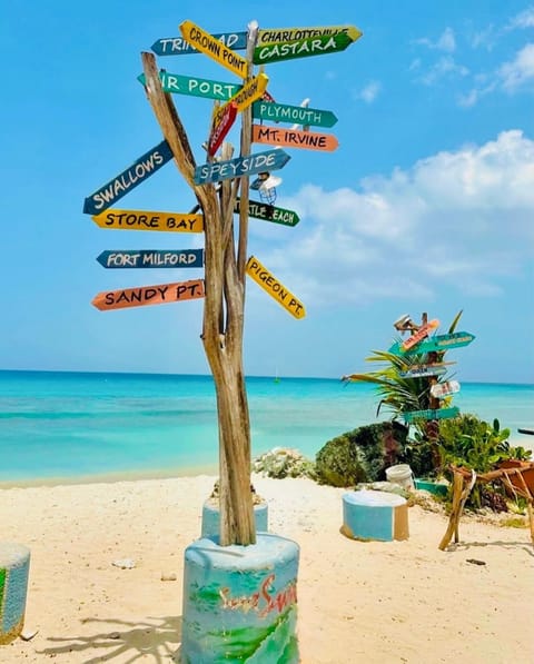 Nearby landmark, Snorkeling, Beach