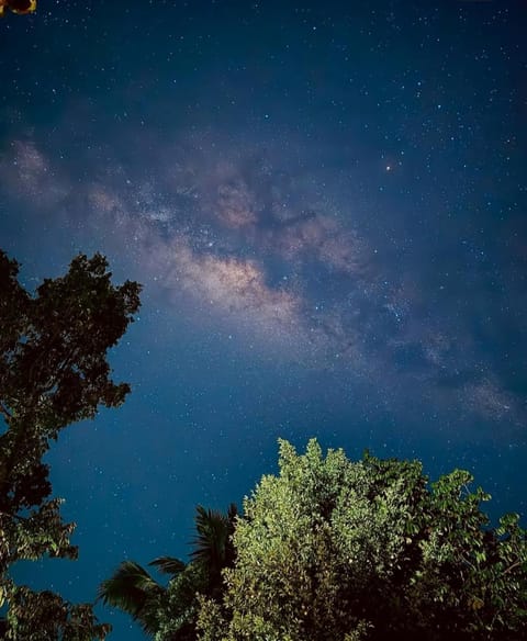 Oka wooden house88 Vacation rental in Payangan