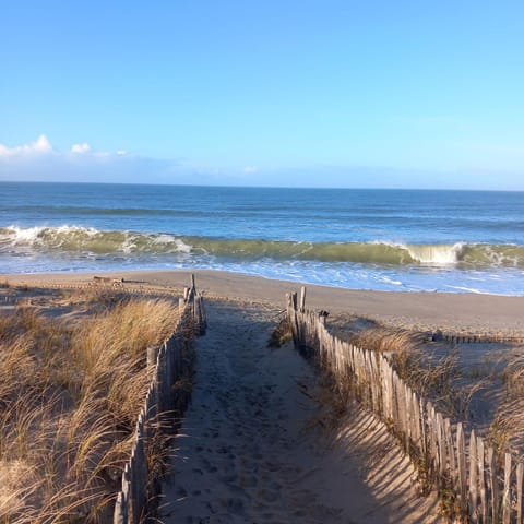 Nearby landmark, Beach, Sea view