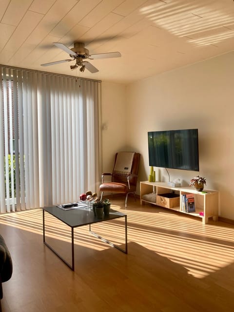 Property building, TV and multimedia, Living room