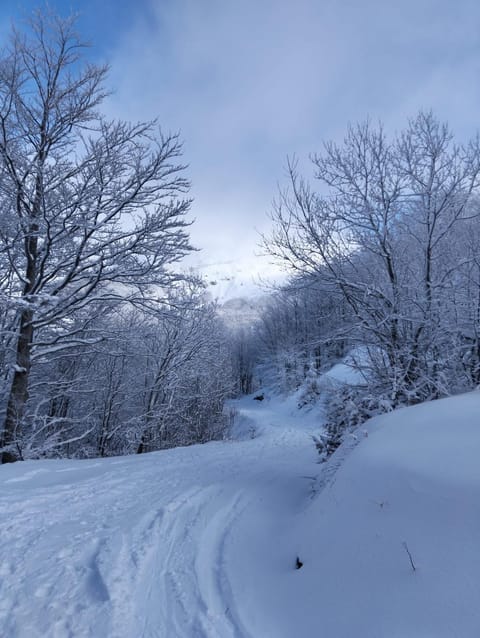 Eco Home - Val di Luce Apartment in Emilia-Romagna