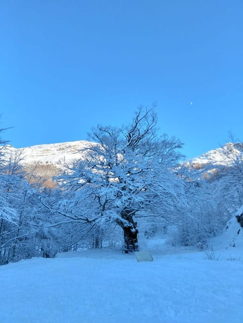 Eco Home - Val di Luce Apartment in Emilia-Romagna