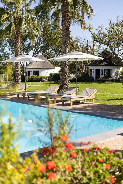 Property building, Garden, Garden view, Pool view, Swimming pool, sunbed