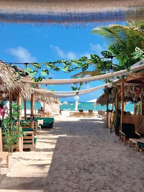 Restaurant/places to eat, Restaurant/places to eat, Beach, sunbed