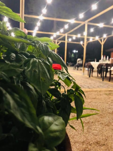 Restaurant/places to eat, Night, Garden, Banquet/Function facilities, Garden view
