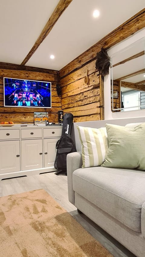 TV and multimedia, Living room