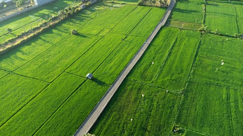 View (from property/room)