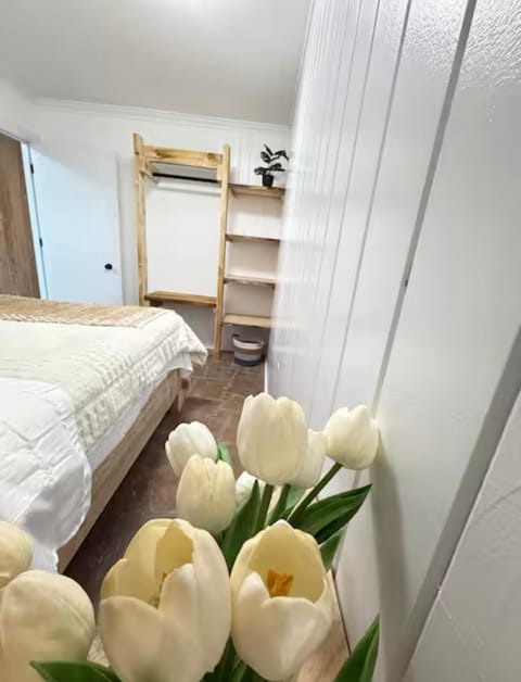 Bed, Photo of the whole room, wardrobe