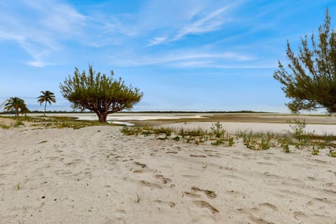 Carlos Pointe 113 Apartment in Estero Island