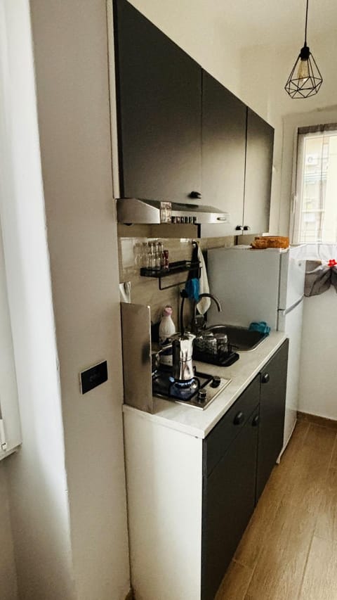 Kitchen or kitchenette, kitchen