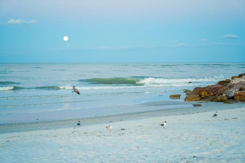 Luxury vacation home Saint Petersburg FL House in St Petersburg