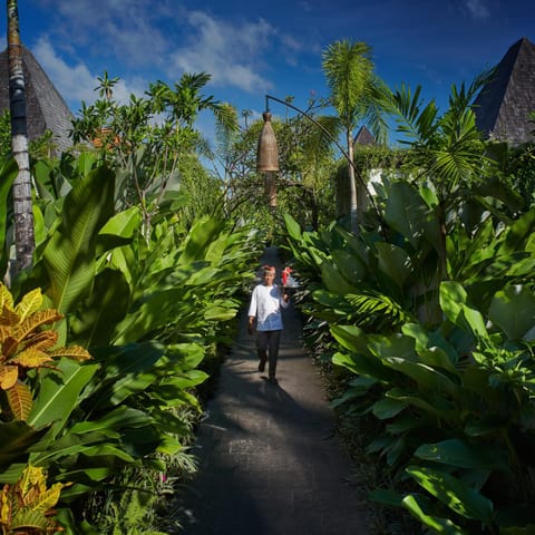 People, Natural landscape, Garden, Garden view