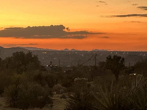 Desert Luna House in Joshua Tree