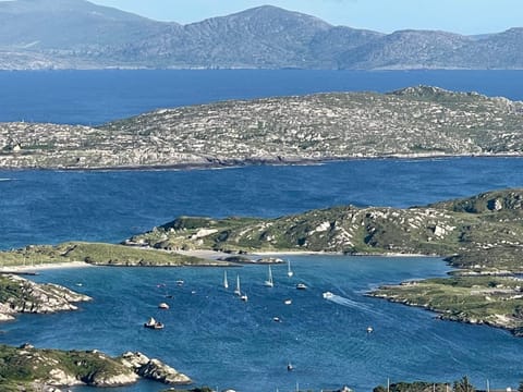 Tinnies Guest House V23HY11 Bed and Breakfast in County Kerry