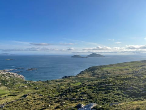 Tinnies Guest House V23HY11 Bed and Breakfast in County Kerry