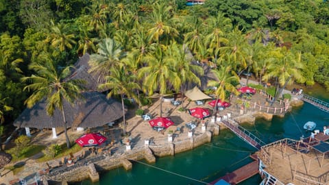 Restaurant/places to eat, Natural landscape, Bird's eye view
