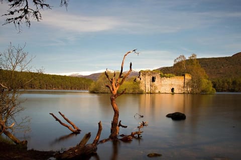 The Steadings Aviemore Premium Highland Apartment Near Cairngorms & Town Centre Apartment in Aviemore