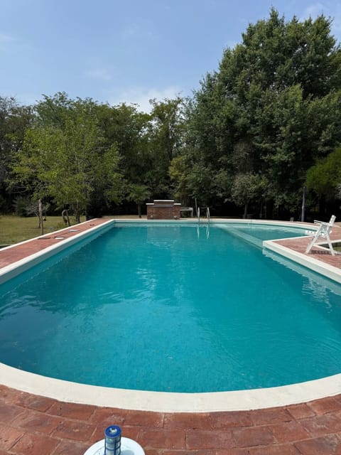 Day, Pool view, Swimming pool, sunbed