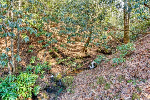 Hot Tub and Streamside Bliss! Topton Mtn Haven House in Nantahala