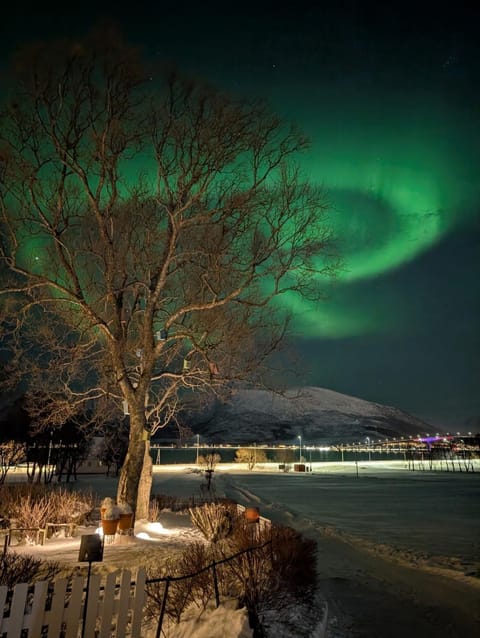 Nearby landmark, Night, Natural landscape, Winter