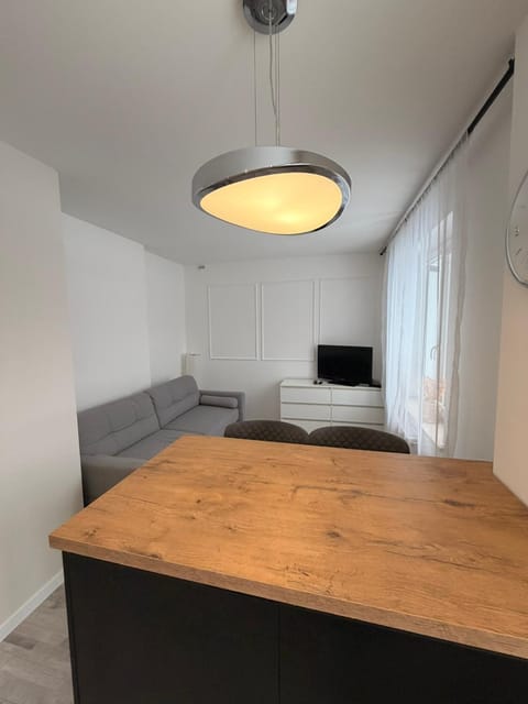 Apartament Modrzewia Apartment in Pomeranian Voivodeship