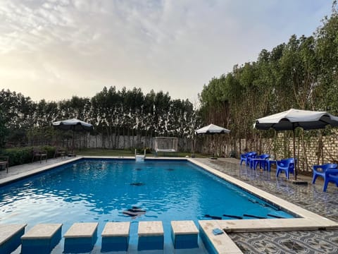 Garden, Pool view, Swimming pool