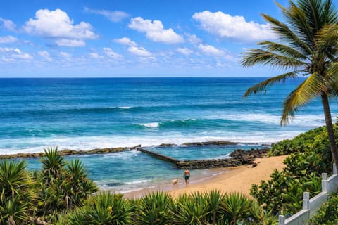 Nearby landmark, Beach, Sea view