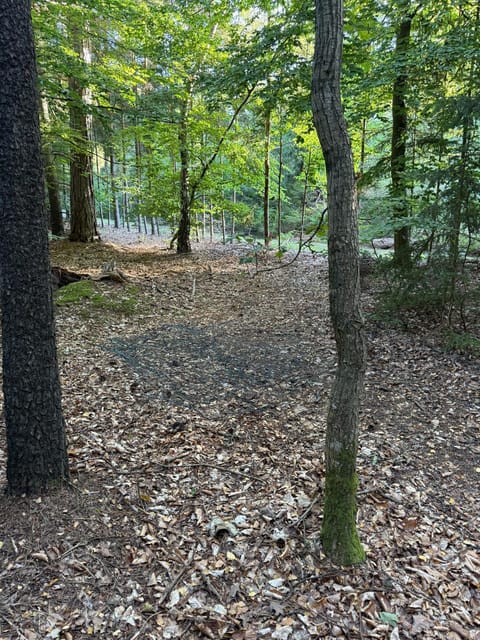 Romantic glamping in the forest near a sandy beach Luxury tent in Zealand