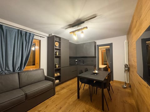 Living room, kitchen