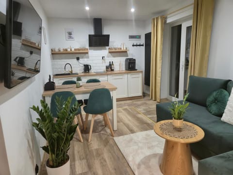 TV and multimedia, Kitchen or kitchenette, Living room, Seating area, Dining area, pet friendly, stove