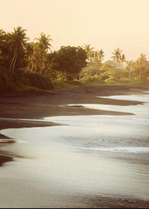 Pigstone Design Studios Beachfront Apartment in Kediri