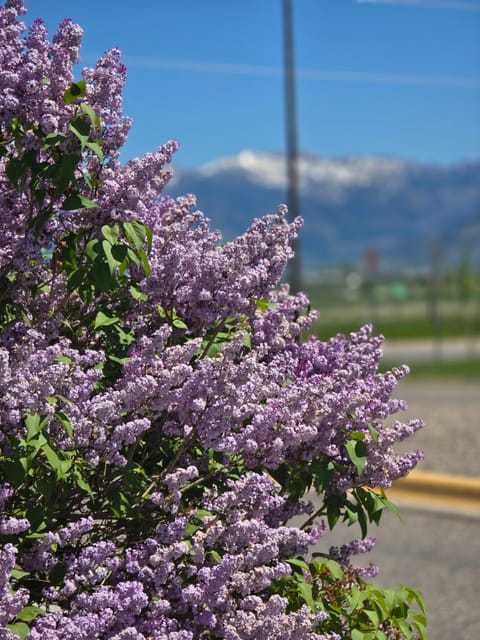 Fun in Bozeman big sky country Apartment in Bozeman