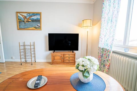 Colourful Vintage Studio in Majorna Göteborg Apartment in Gothenburg