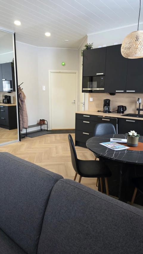 Studio Siivilla Apartment in Finland