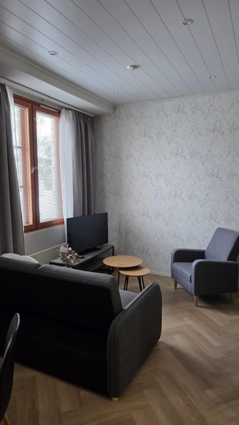 Studio Siivilla Apartment in Finland