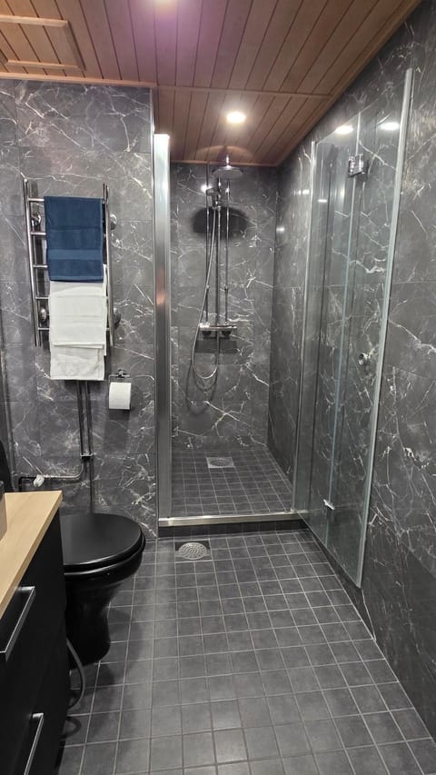 Studio Siivilla Apartment in Finland