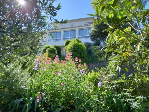 Property building, Spring, Garden, Garden view