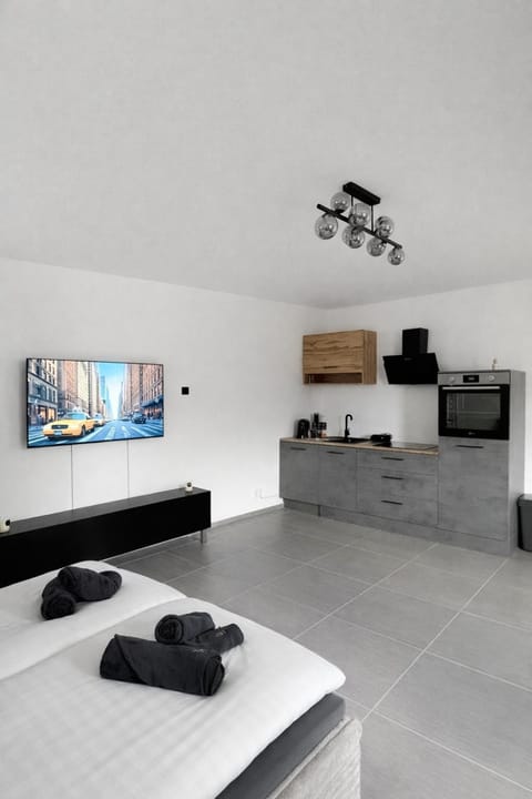 Bed, TV and multimedia, Kitchen or kitchenette, Photo of the whole room, Bedroom