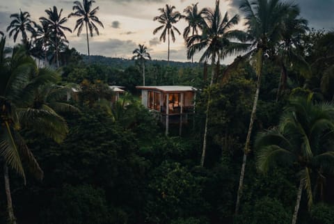 Property building, Natural landscape, Garden view