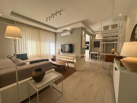 Communal lounge/ TV room, TV and multimedia, Seating area, Dining area, minibar, air conditioner