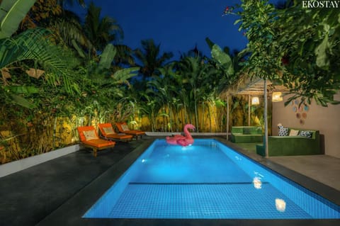 Night, Garden, Garden view, Swimming pool, sunbed