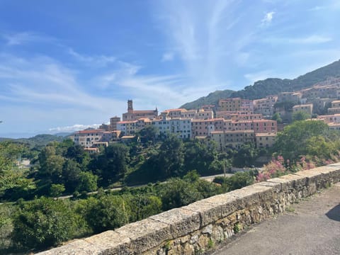 Natural landscape, City view