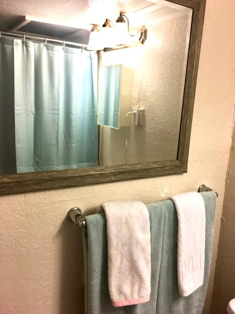 Downtown Jax Studio condo Apartment in Jacksonville