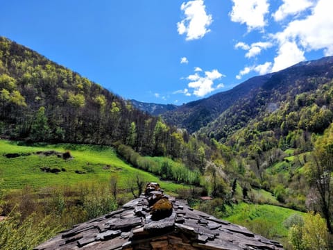 Spring, Natural landscape, View (from property/room), Mountain view, River view, Inner courtyard view