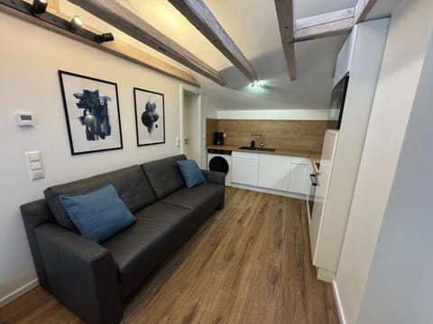 Kitchen or kitchenette, Living room, dishwasher, washing machine, washing machine, kitchen, kitchen, air conditioner